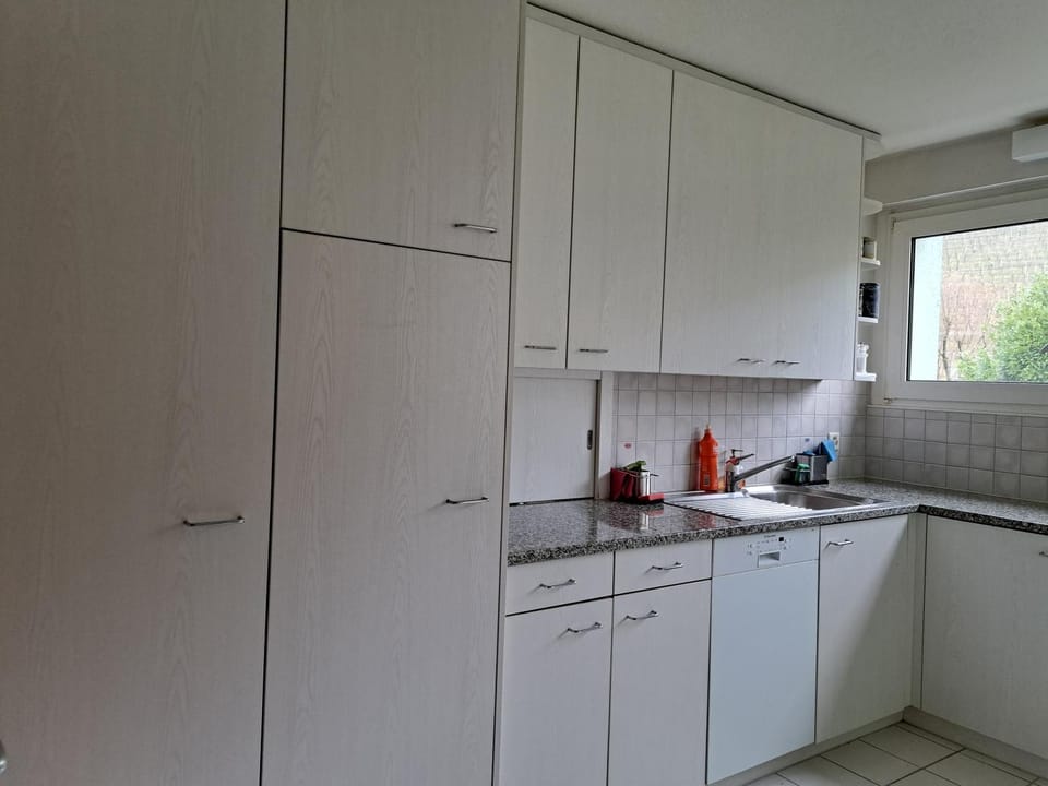 Kitchen or kitchenette, dishwasher