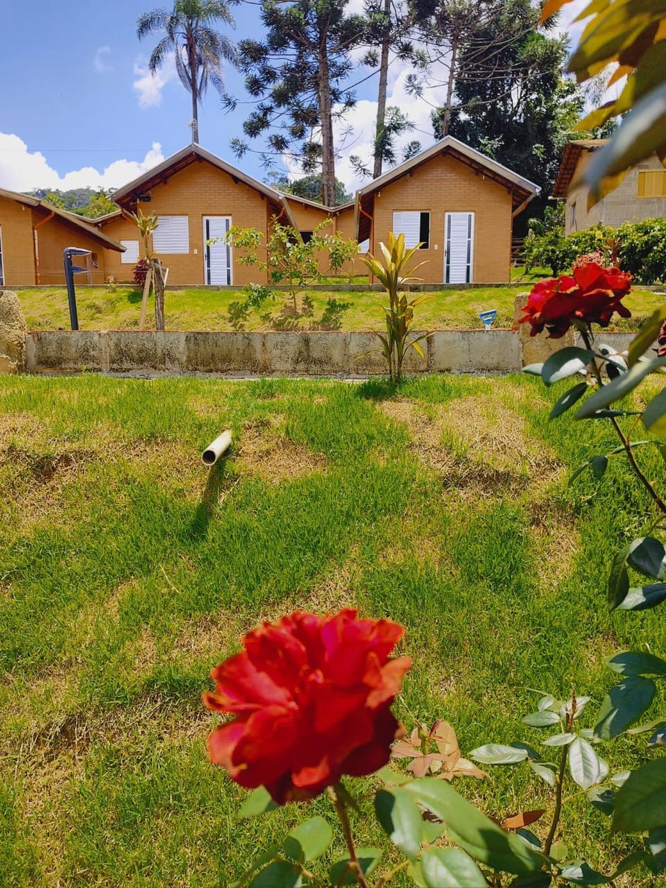 Spring, Garden, Garden view