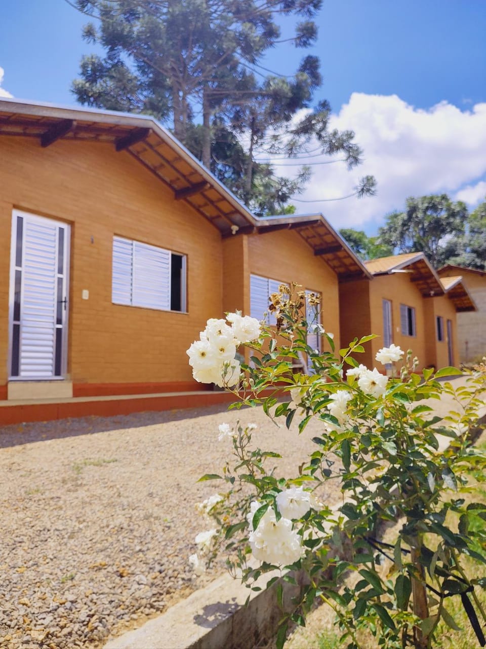 Property building, Other, Bedroom