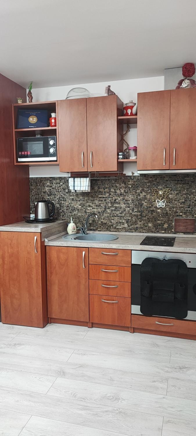 Amber Apartament Apartment in Lithuania