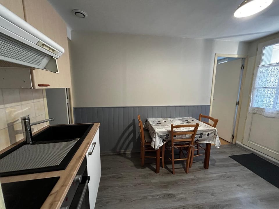 Charmant T2 avec WIFI et parking au centre de La Roche-Posay - FR-1-541-159 Apartment in Nouvelle-Aquitaine