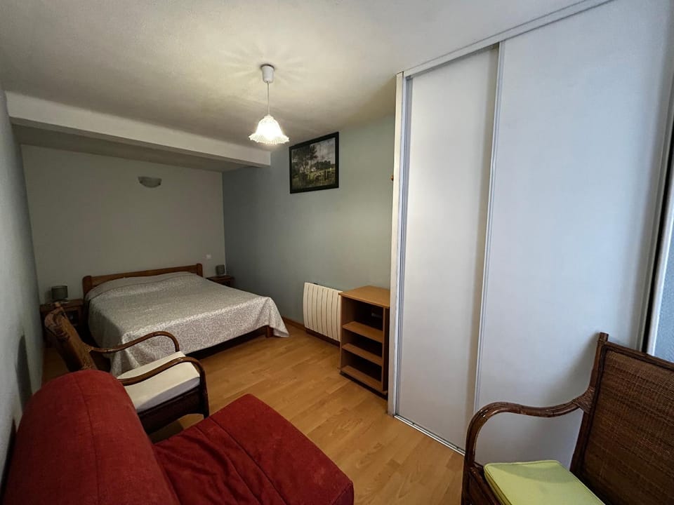 Charmant T2 avec WIFI et parking au centre de La Roche-Posay - FR-1-541-159 Apartment in Nouvelle-Aquitaine