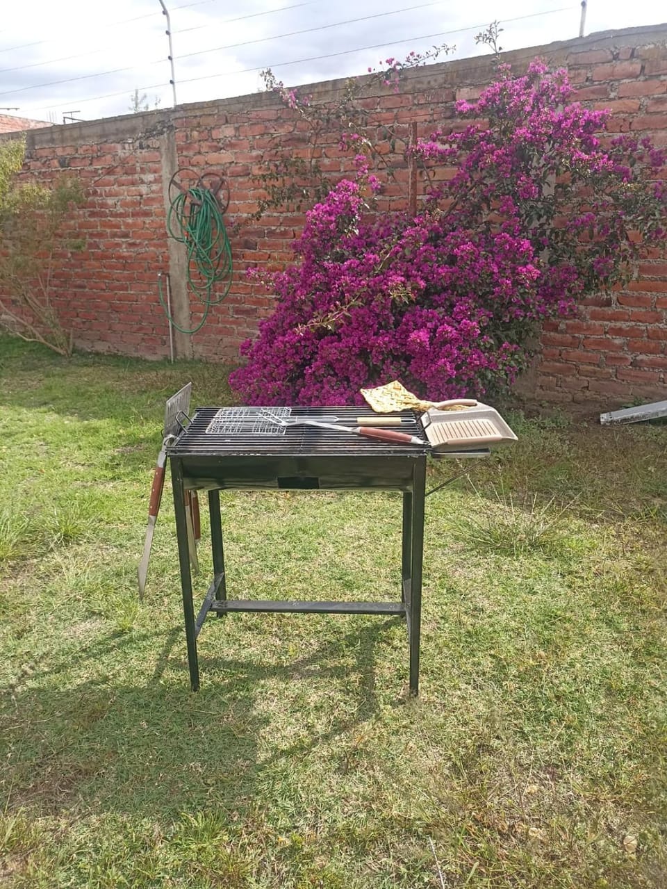 Day, Garden view