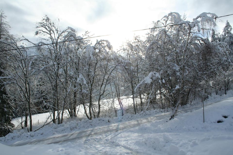 Mountain view