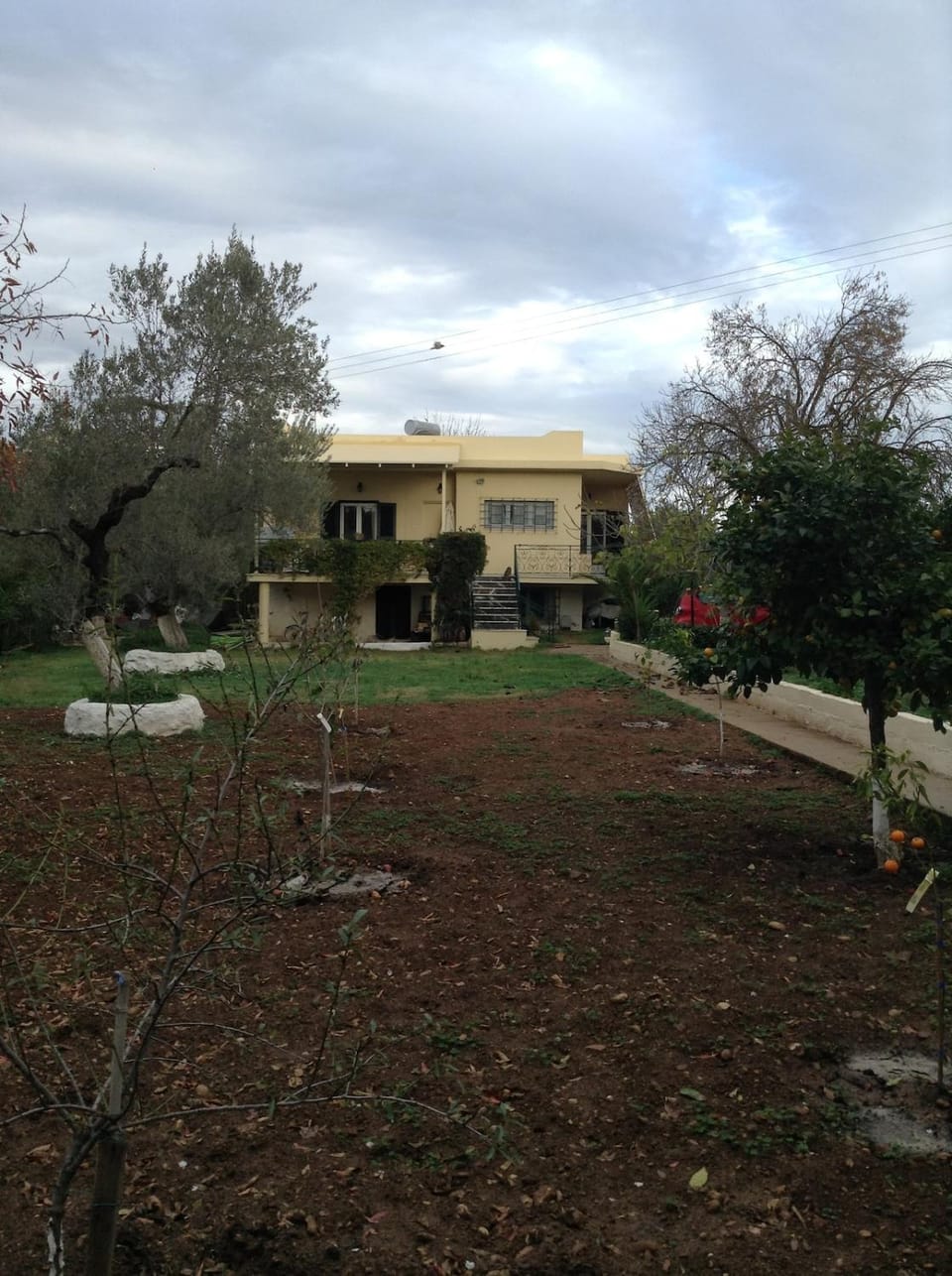 Spring, Garden, Garden view