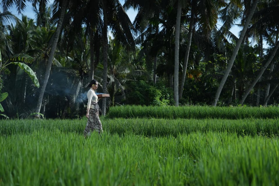 Spring, Day, People, Natural landscape