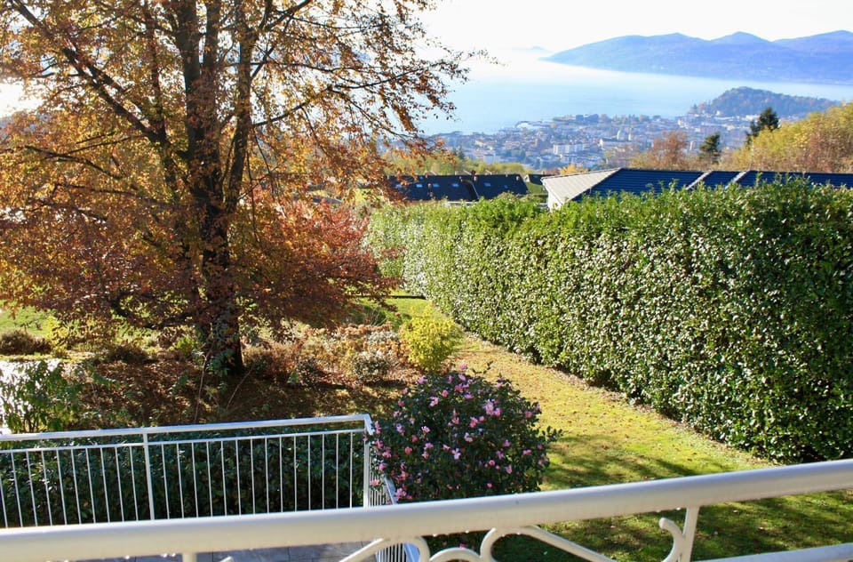 Spring, Natural landscape, Garden, Garden view, Lake view