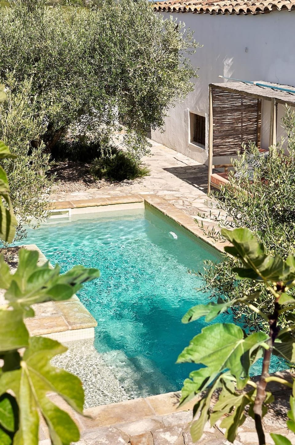 Garden, Swimming pool
