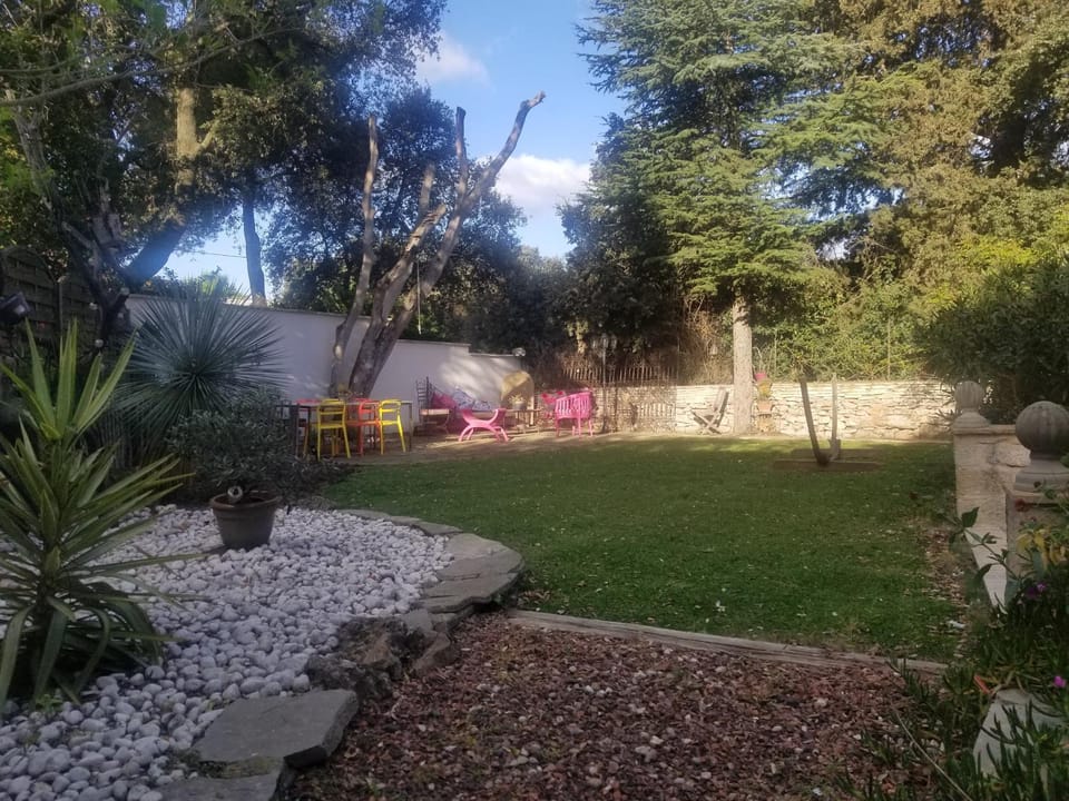 Garden