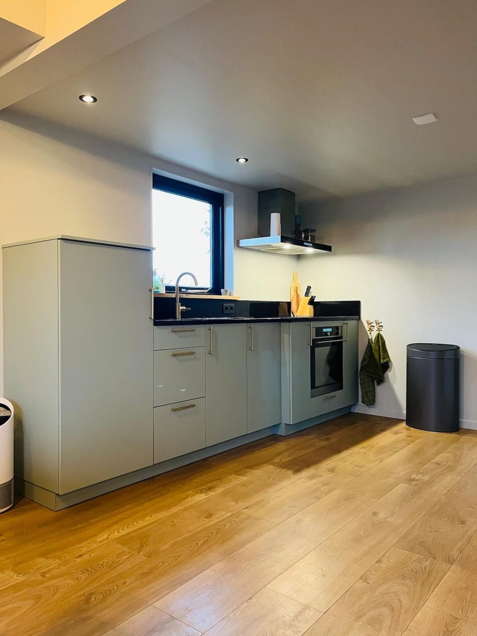 B&B de Lytse Geast Apartment in Friesland, Netherlands