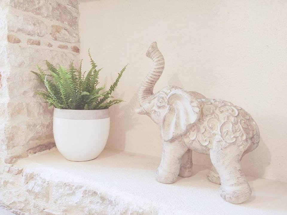 Charmant studio, cœurdeSouillac tidordognehomes Apartment in Souillac
