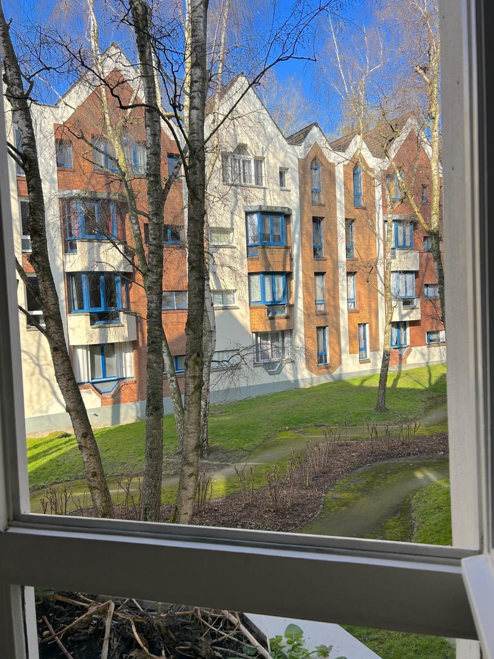 View (from property/room)