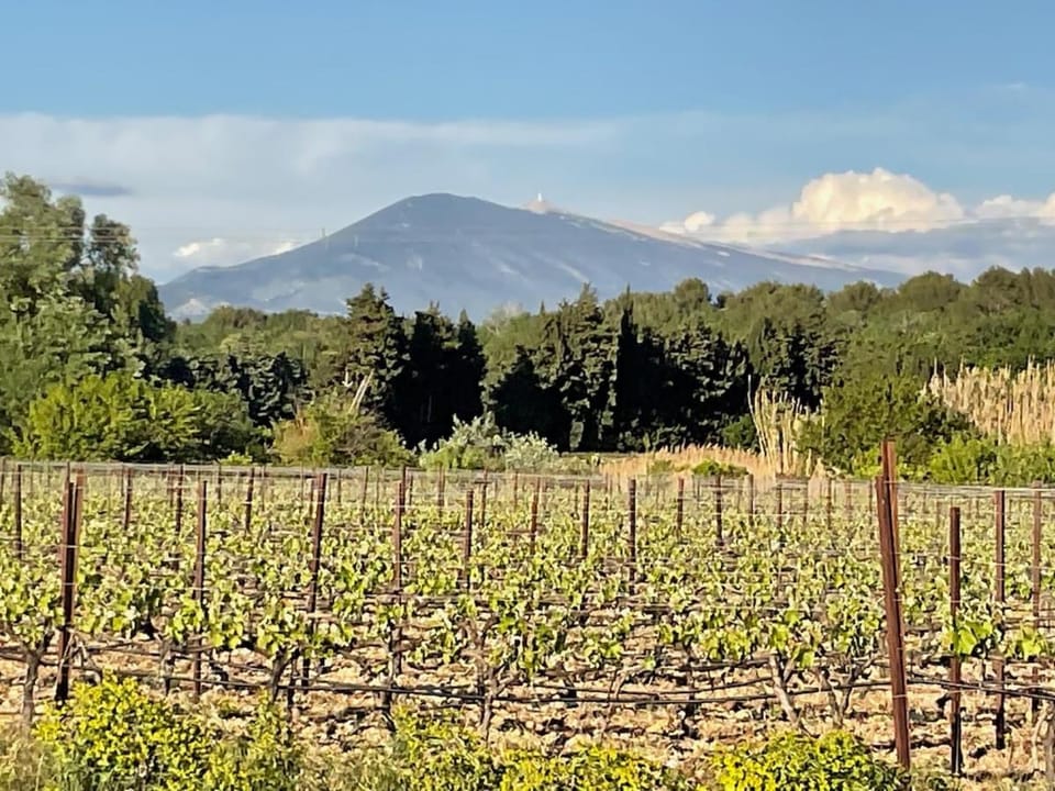 Splendid Provençal Villa with Pool and View Villa in Provence-Alpes-Côte d'Azur