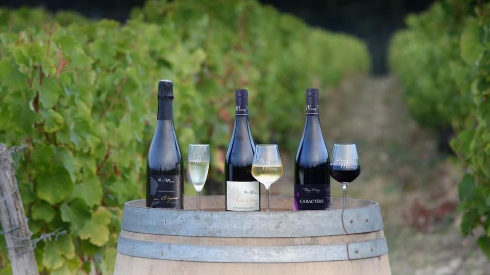 Tiny house sous le chene Apartment in Centre-Val de Loire