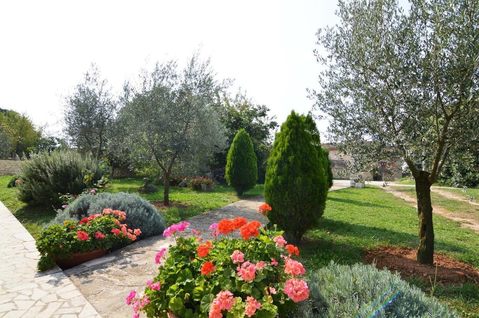 Off site, Day, Natural landscape