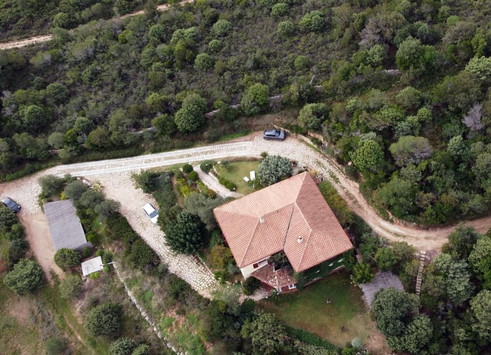 Bird's eye view, View (from property/room), Garden view