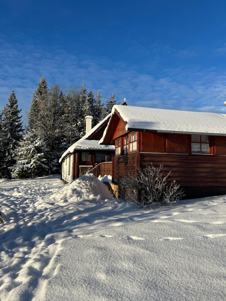 Chata Olívia Chalet in Slovakia