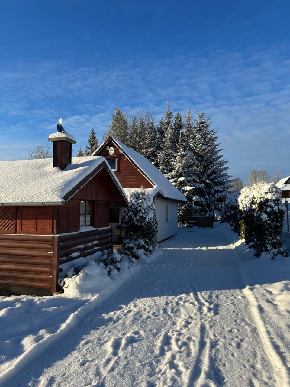 Chata Olívia Chalet in Slovakia