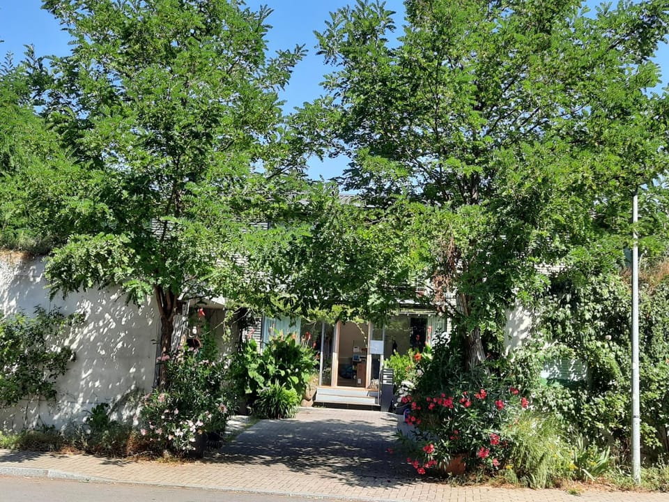 Glashus-Moos Apartment in Radolfzell