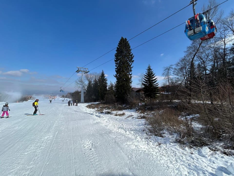 Day, People, Winter, Skiing, Skiing