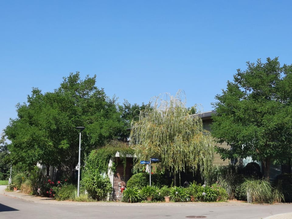 Glashus-Moos Kajüte Apartment in Radolfzell