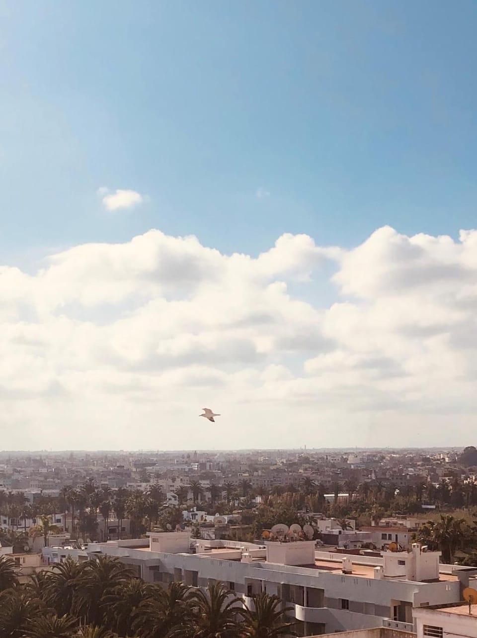 City view