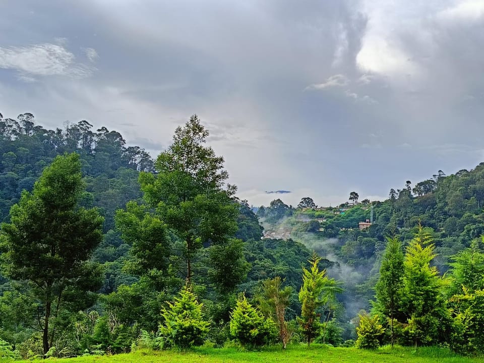 Mountain view