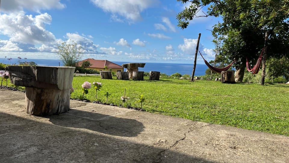 Nearby landmark, Spring, Natural landscape, Garden, Garden view, Sea view