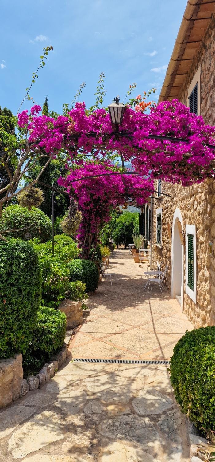 Garden view
