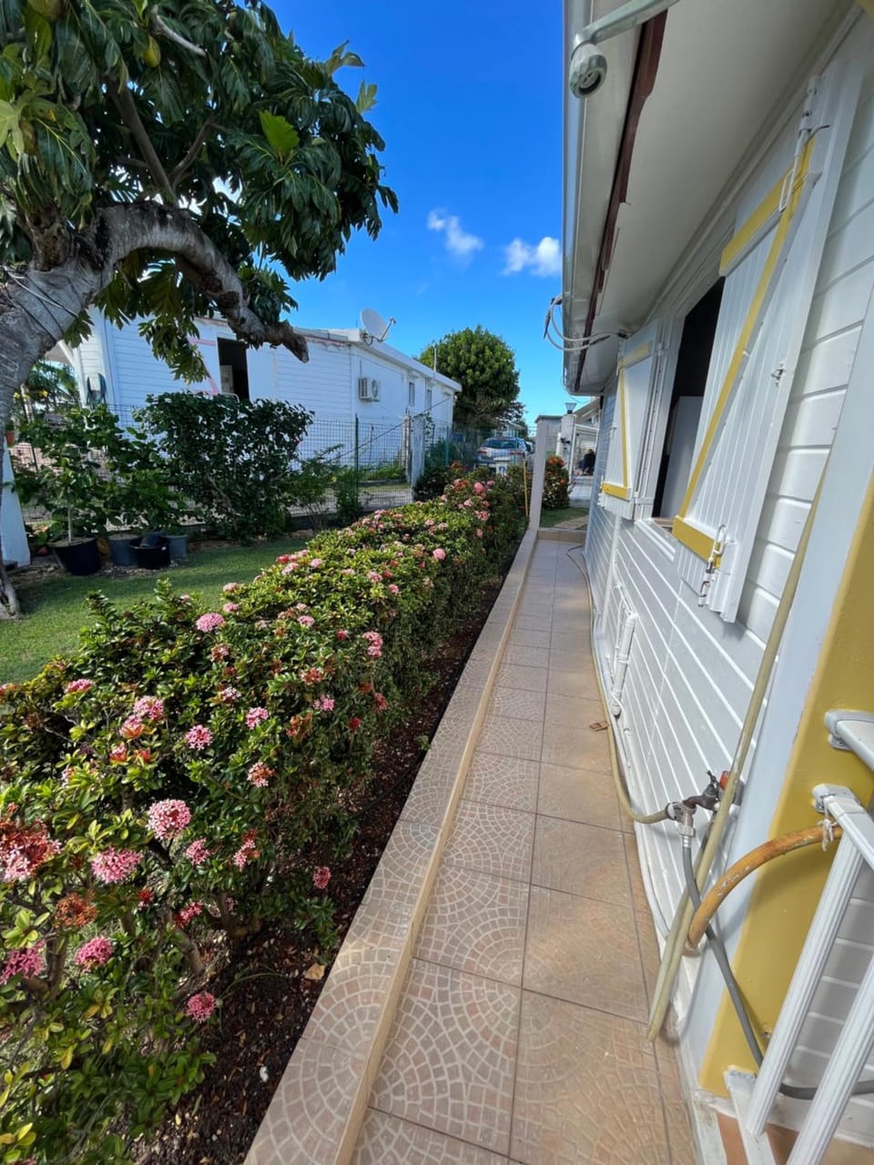 Garden, View (from property/room), Garden view, Inner courtyard view
