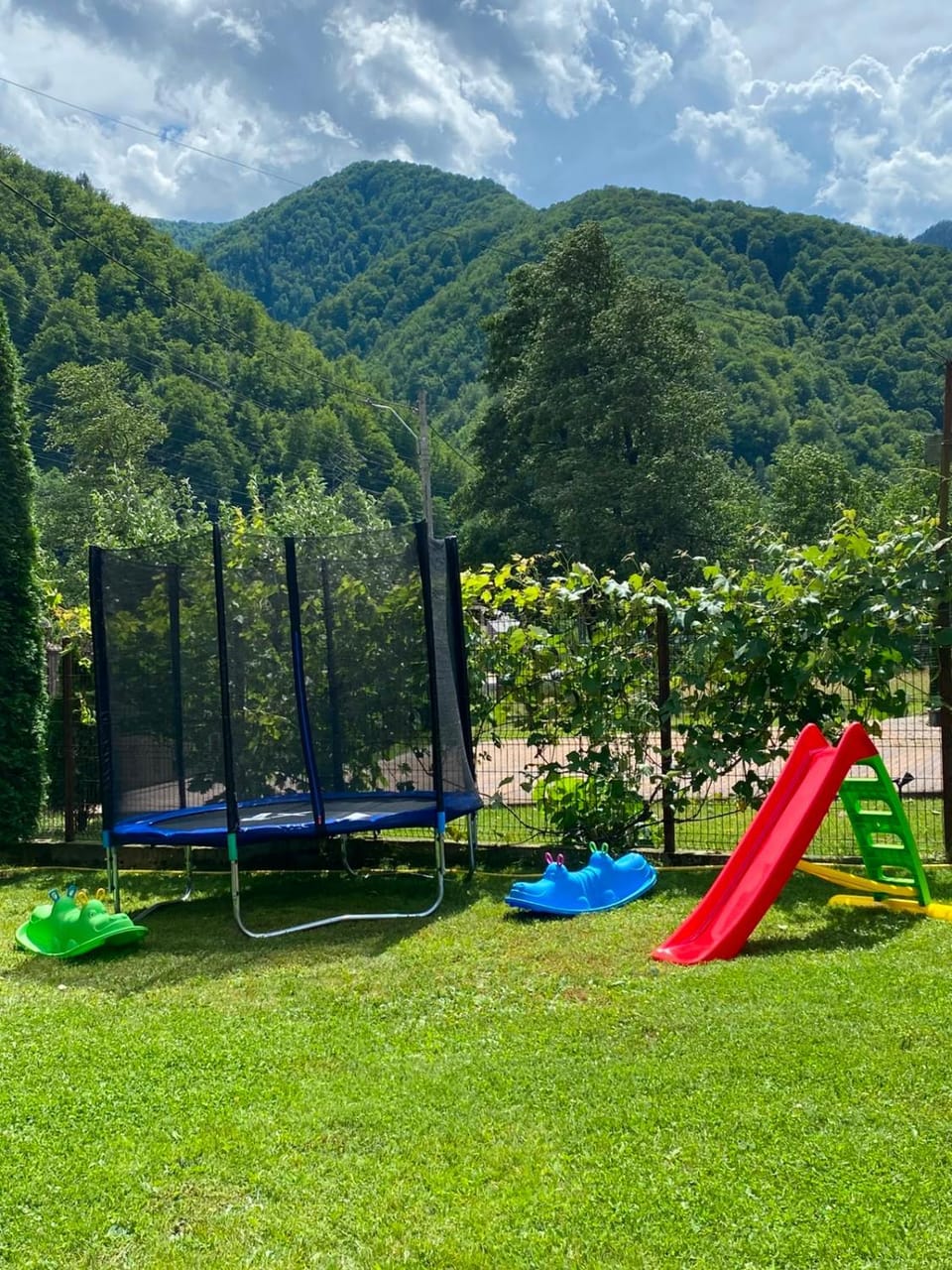 Natural landscape, Garden, Garden view, Mountain view