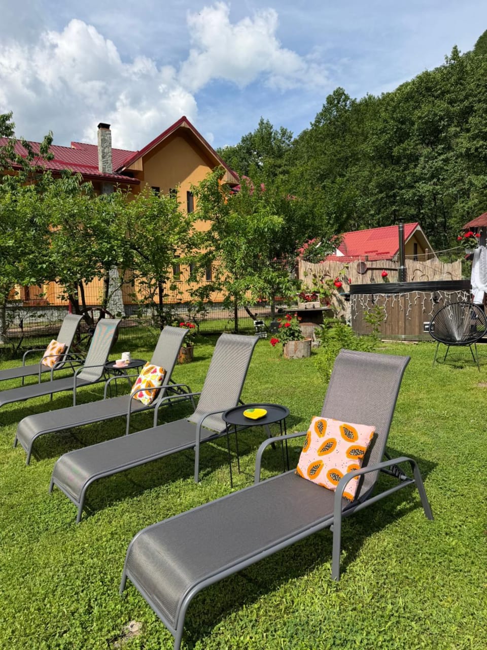 Natural landscape, Garden, Garden view