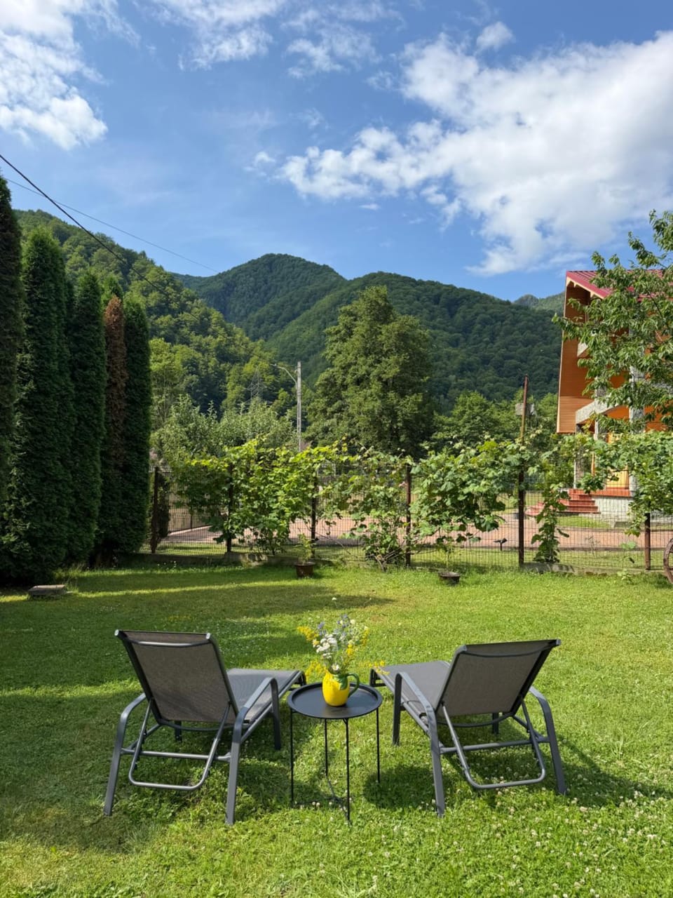 Garden, Garden view, Mountain view
