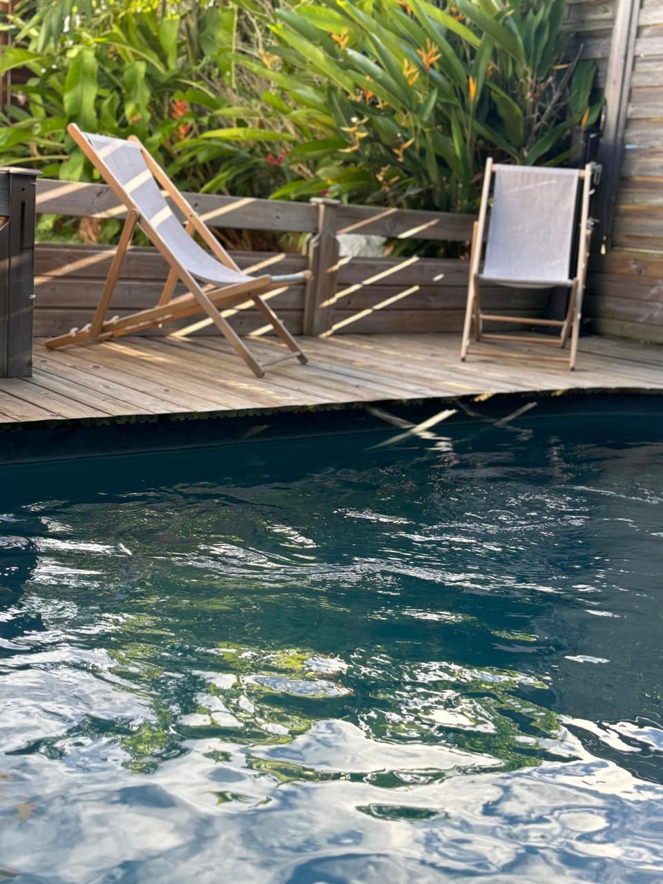 Day, Garden view, Pool view, Swimming pool, sunbed