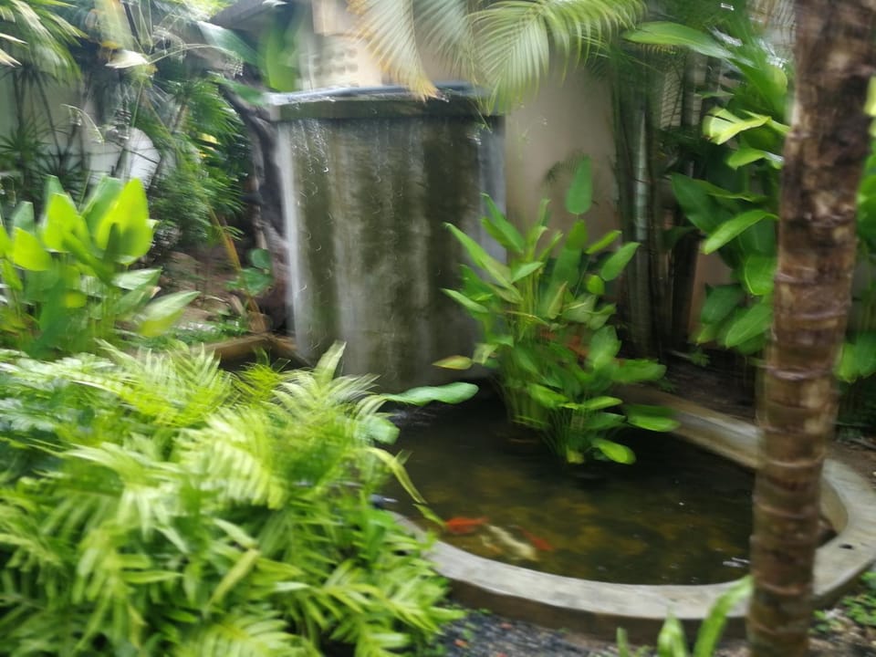 Natural landscape