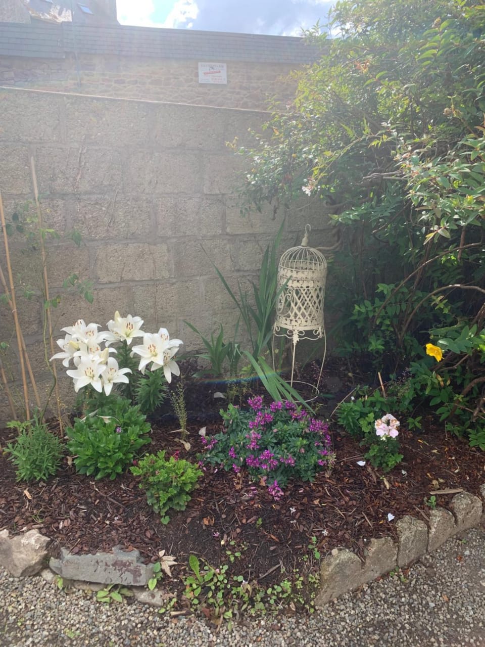 Garden view