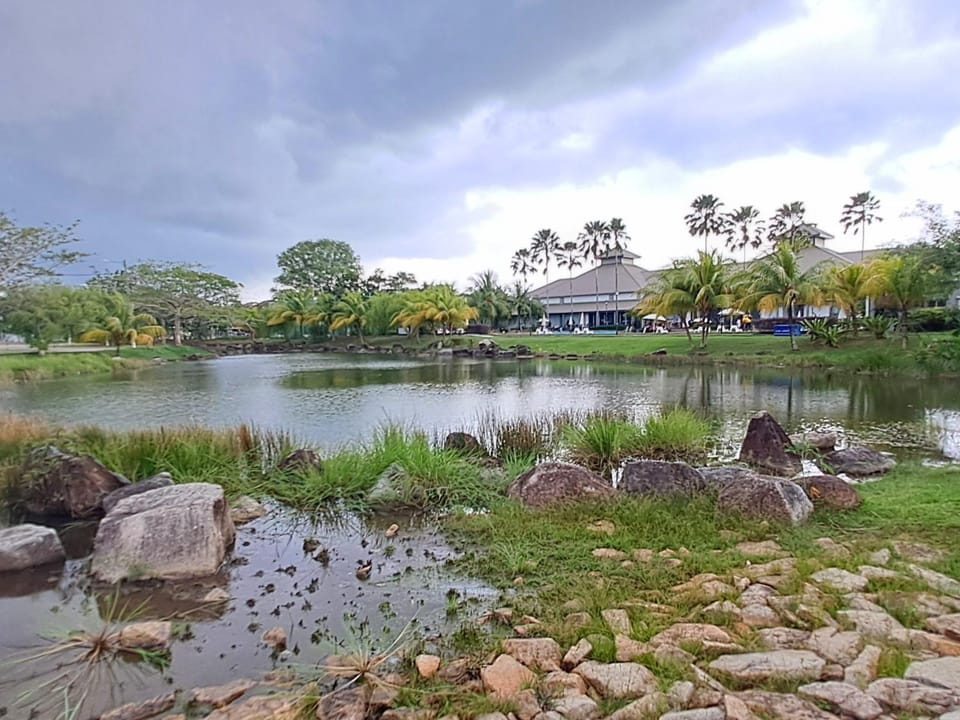 Lake view