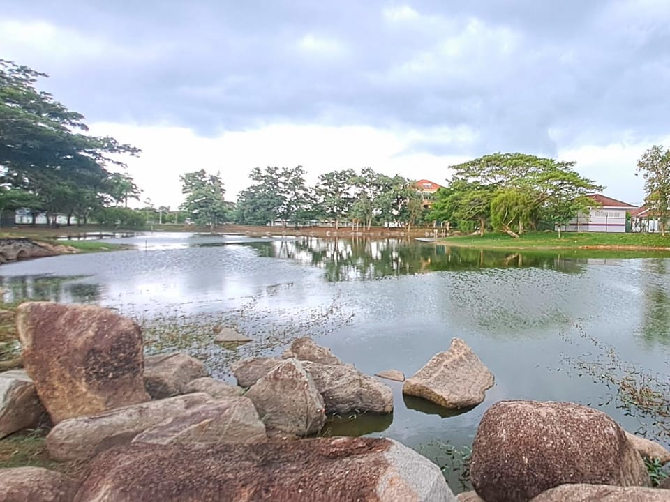Lake view