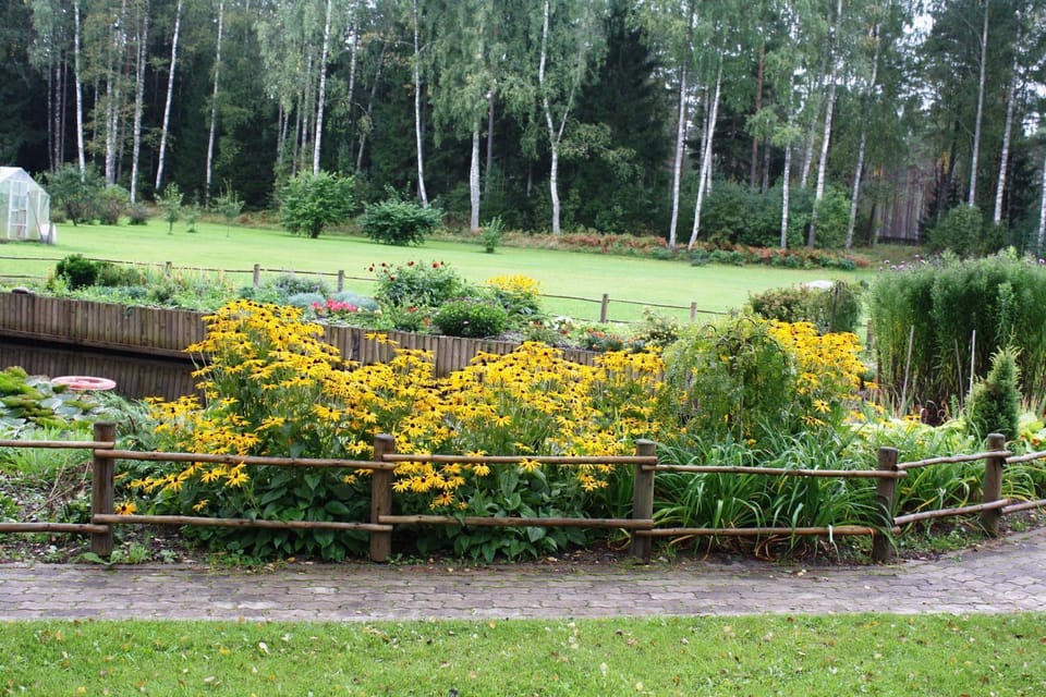 Garden, Garden view