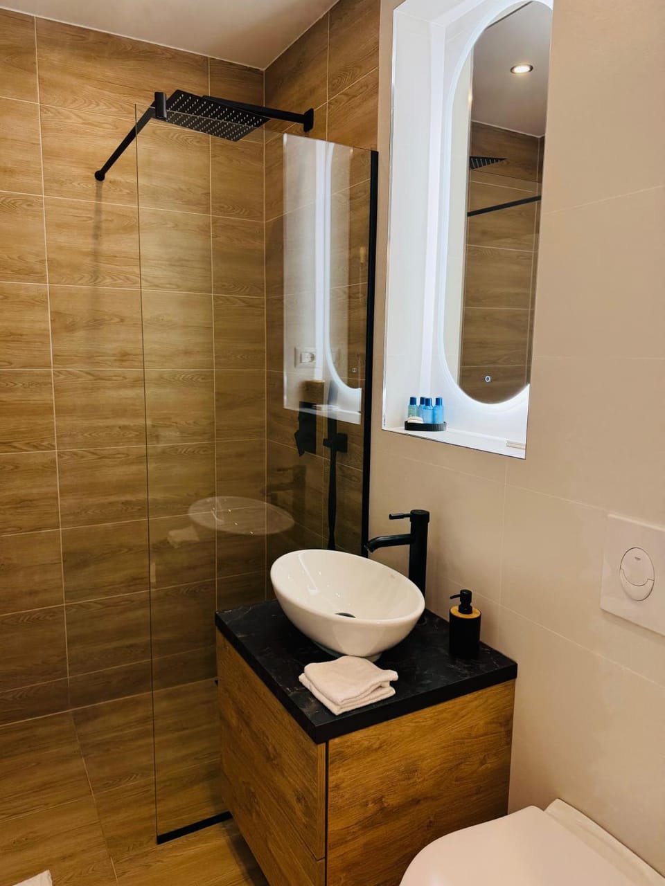 CentraLuxury Apartment in Romania