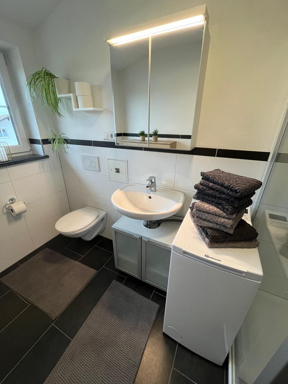 Toilet, Bathroom, towels