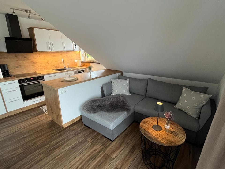 Kitchen or kitchenette, Living room, stove