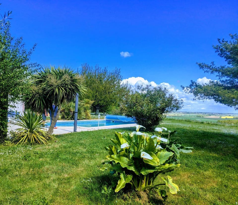 Natural landscape, Pool view, Swimming pool, Swimming pool