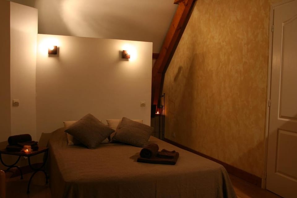 SPA et SAUNA privatifs House in Centre-Val de Loire