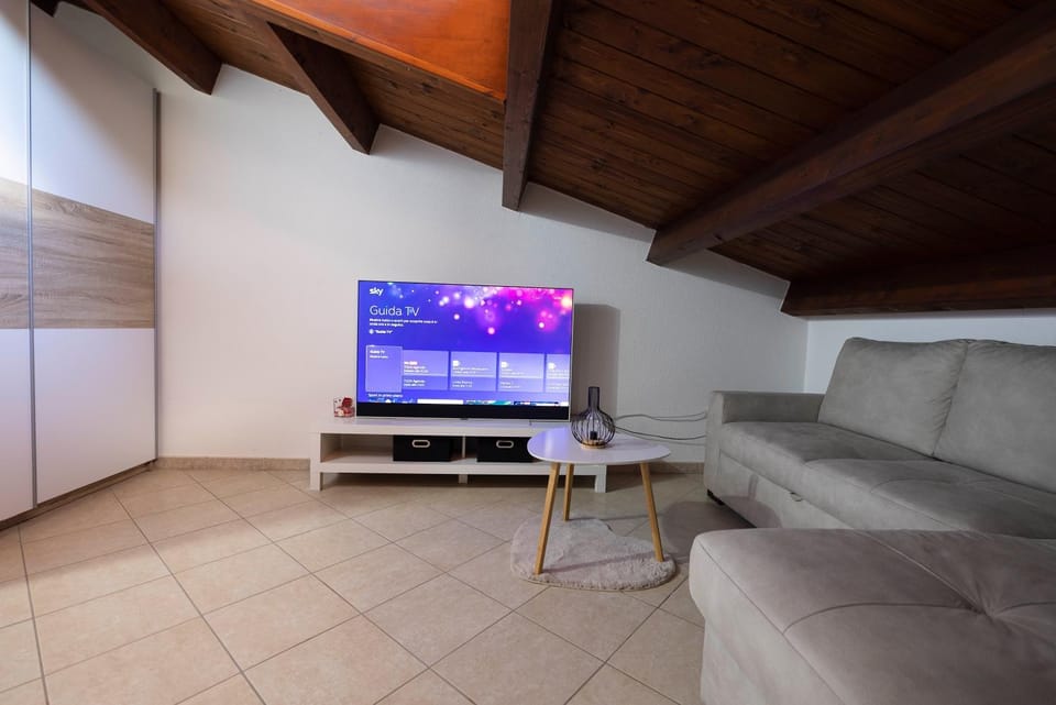TV and multimedia