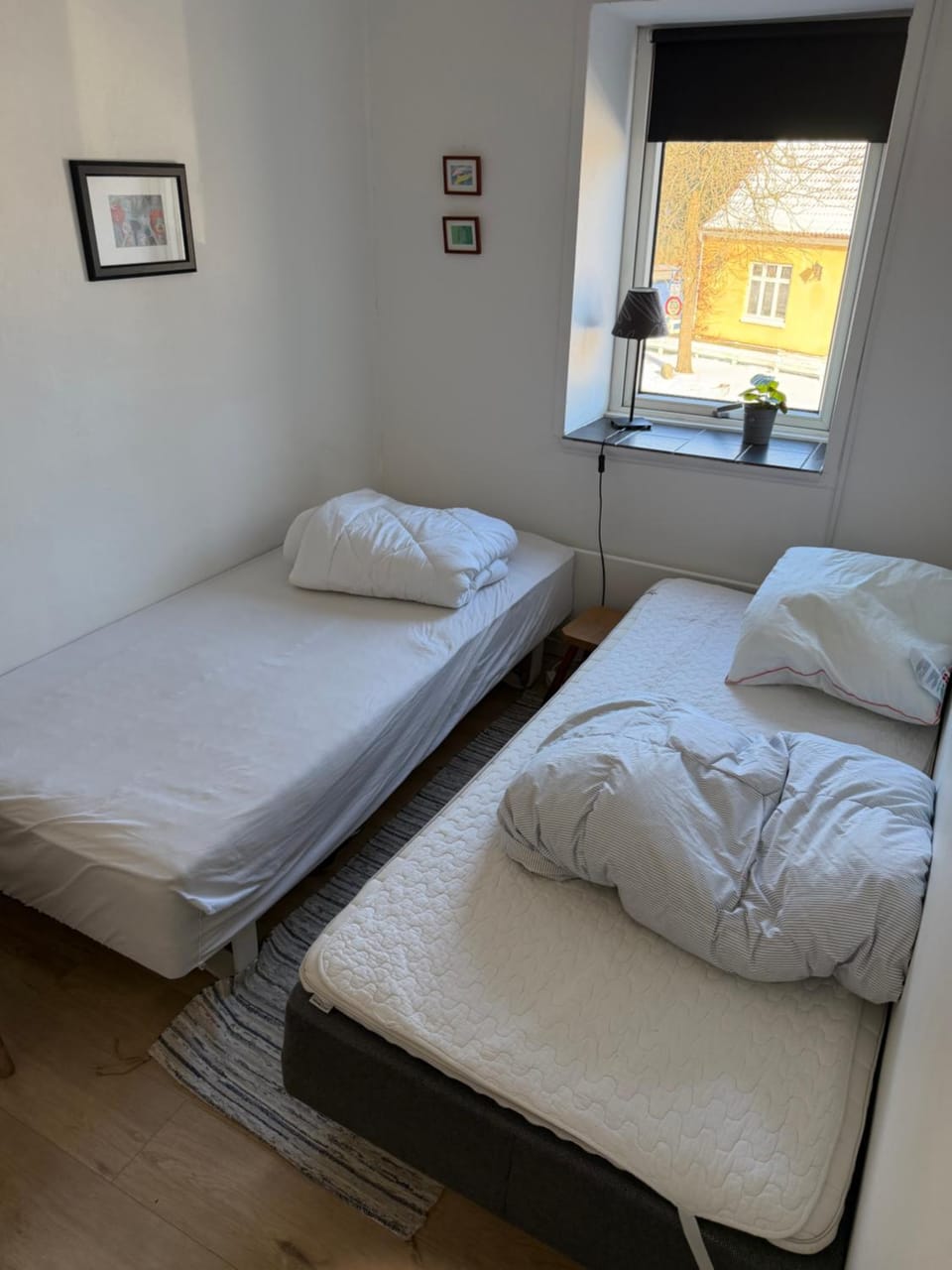 Viborg Guesthouse - Billig Overnatning Viborg Bed and Breakfast in Central Denmark Region
