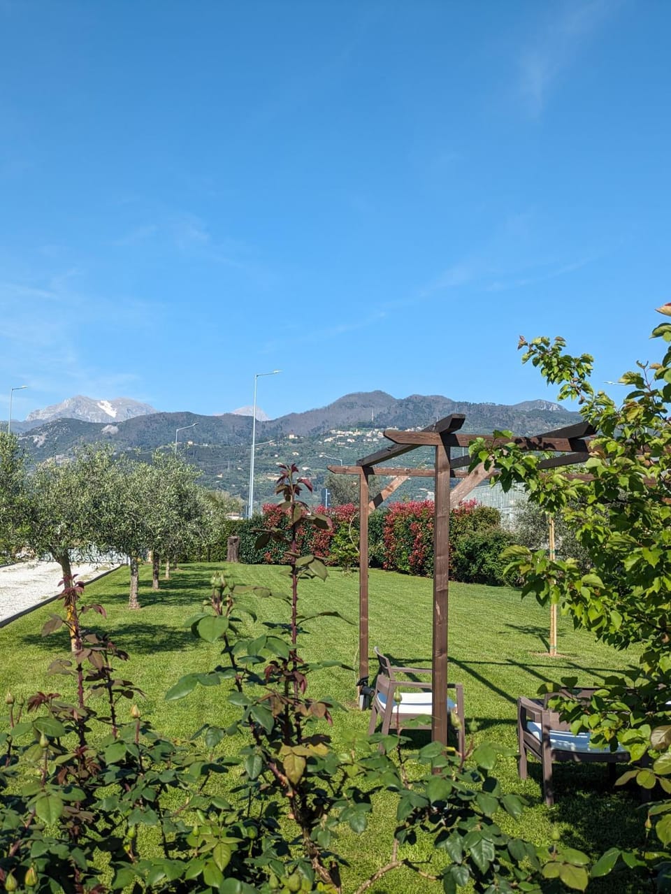 Garden, Garden, Mountain view