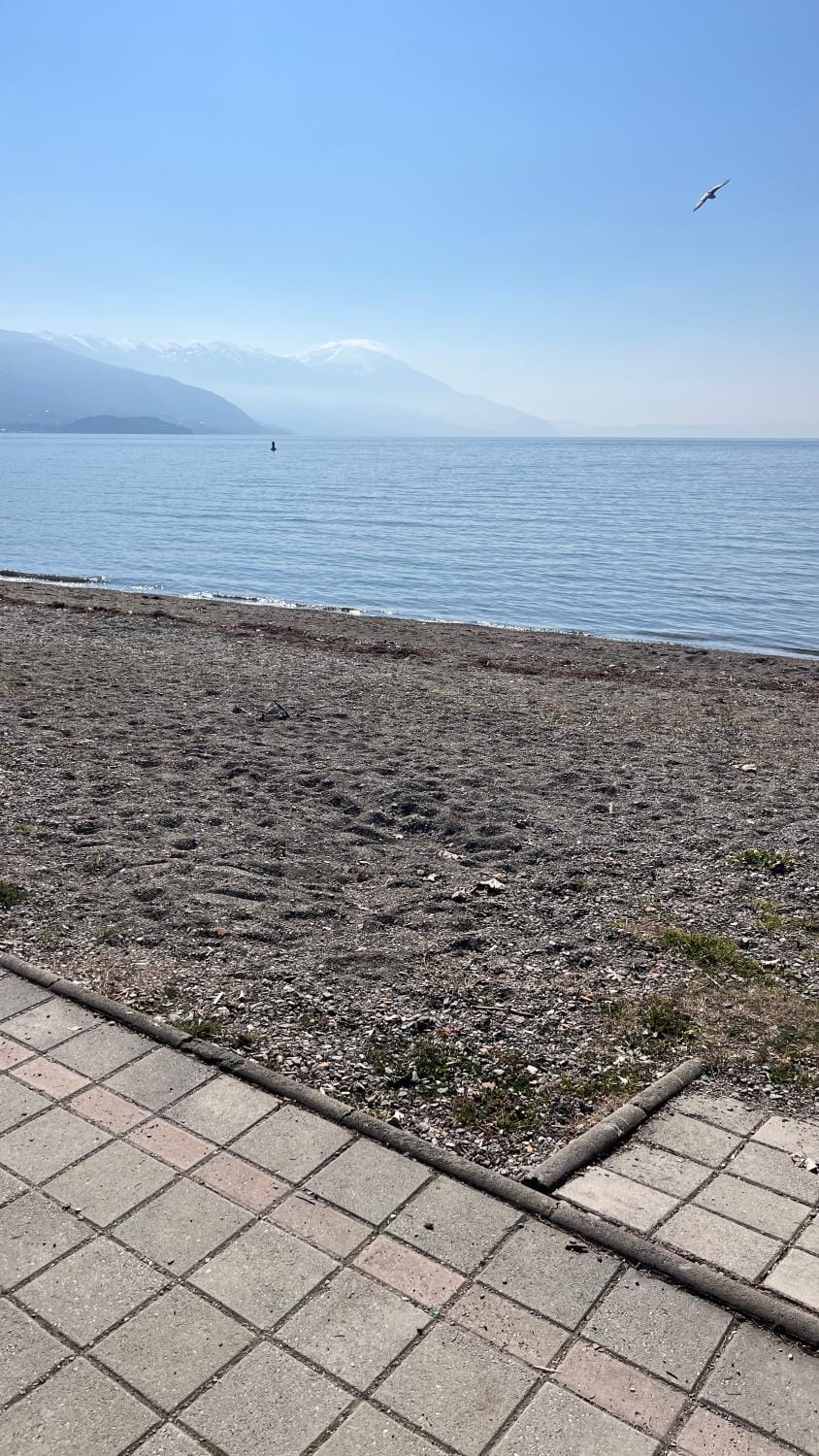 Apartment Voska Apartment in Ohrid