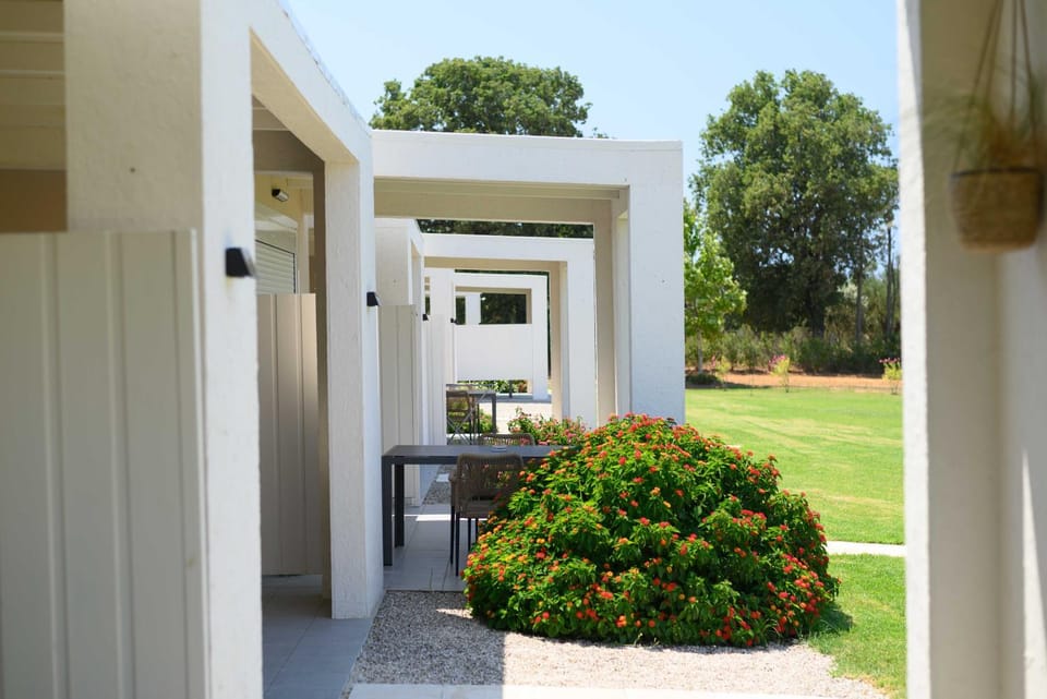 Property building, Spring, Day, Garden, Garden view