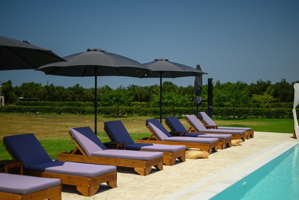 Day, Garden, Garden view, Pool view, Swimming pool, sunbed
